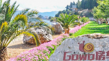 GOWO新享私田自驾车营地