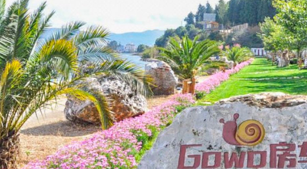 GOWO新享私田自驾车营地