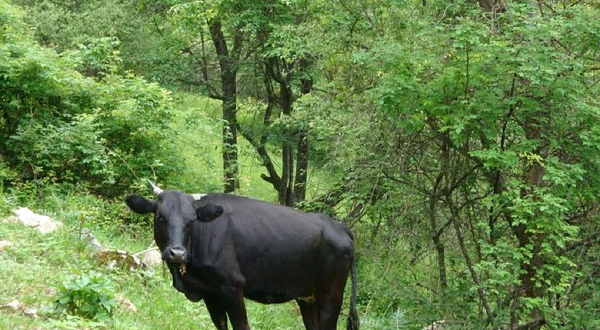 两当县云屏三峡度假村