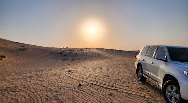 Desert Rose Safari Camp