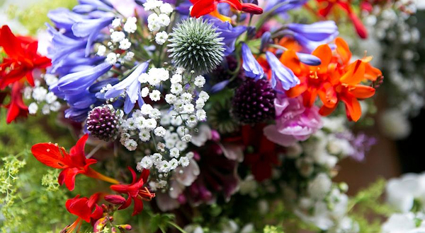 Doolin Garden and Nursery