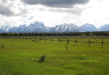 Teton Point Turnout第 14 张图片