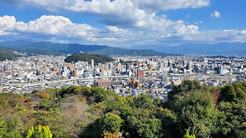 松山総合公园さくらの丘