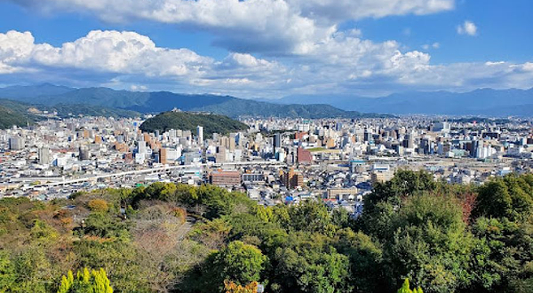 松山総合公园さくらの丘