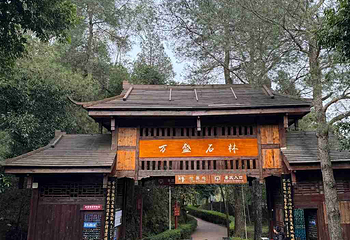万盛石林第 11 张图片