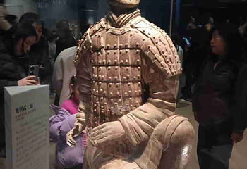 秦始皇兵马俑二号陪葬坑第 55 张图片
