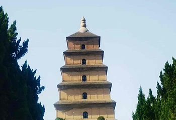 大雁塔第 114 张图片