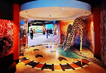 上海海洋水族馆第 63 张图片