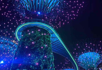 新加坡滨海湾花园第 306 张图片