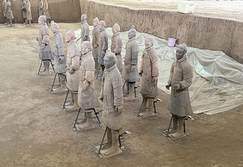 秦始皇帝陵博物院(兵马俑)第 345 张图片