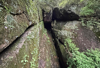 三清山风景区第 275 张图片