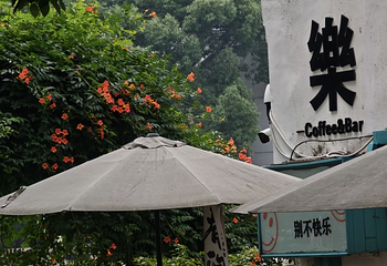 塘栖古镇第 146 张图片