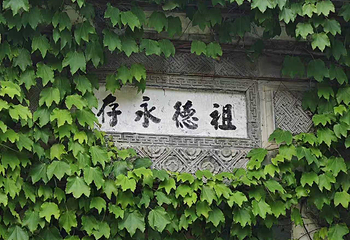 婺源篁岭景区第 323 张图片