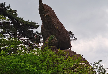 黄山风景区第 503 张图片