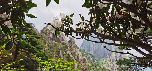 黄山风景区第 164 张图片