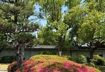 大阪城公园第 172 张图片