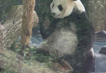 长沙生态动物园第 35 张图片