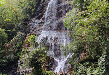 神农架风景区第 194 张图片