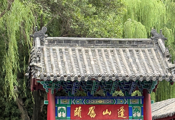 趵突泉景区第 159 张图片