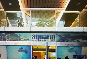 吉隆坡城中城水族馆第 67 张图片