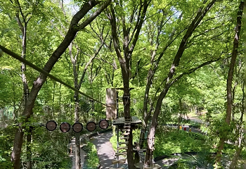 沃普·紫金山探险营地第 65 张图片