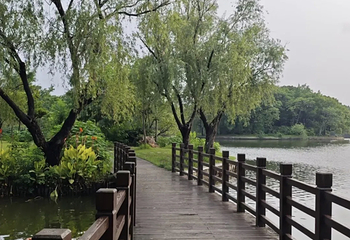 淀山湖风景区第 68 张图片