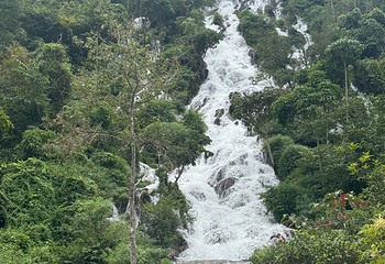 荔波小七孔景区第 244 张图片