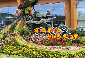 大理古城第 66 张图片