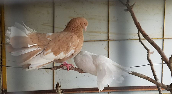 四季绿农业科普园