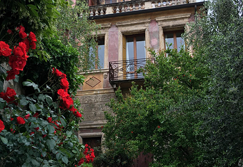 Castel San Pietro第 31 张图片