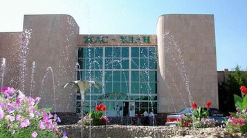 Detsko-Yunosheskiy Tsentr 