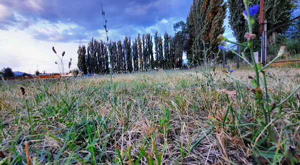 Stadion Shkoly I.m Shestakova