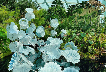 新加坡滨海湾花园第 260 张图片