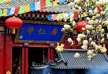 广仁寺第 10 张图片