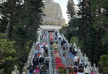 昂坪360第 186 张图片