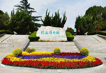 乾陵第 20 张图片