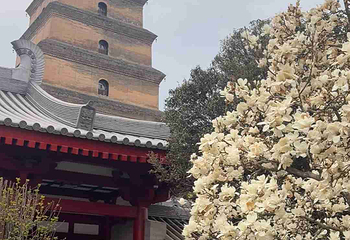 大慈恩寺第 46 张图片