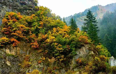 兴隆山景区第 45 张图片