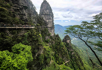 大瑶山盘王界景区第 12 张图片