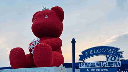 阿尔卑斯雪世界第 376 张图片