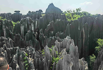 石林风景区第 298 张图片