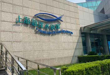 上海海洋水族馆第 105 张图片