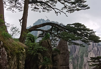 黄山风景区第 504 张图片