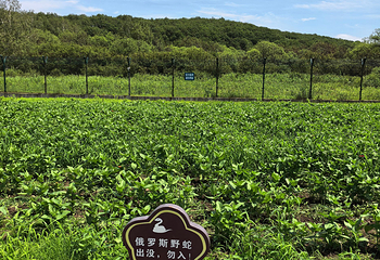 绥芬河国门景区第 41 张图片