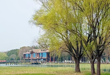 苏州太湖国家湿地公园第 33 张图片