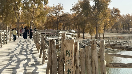 塔塔秘境-罗布湖风景游览区第 32 张图片