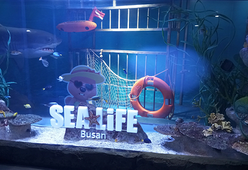 釜山SEA LIFE水族馆第 42 张图片