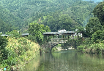 大鄣山卧龙谷第 22 张图片