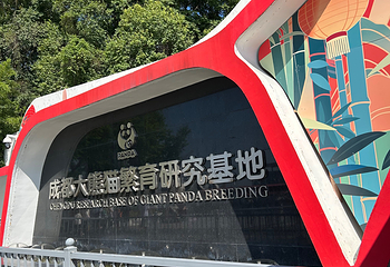 成都大熊猫繁育研究基地第 181 张图片