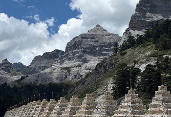 香格里拉巴拉格宗风景名胜区第 173 张图片
